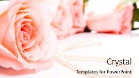  Presentation with pink rose - Presentation theme featuring invitation pearls - pink rose with pearl necklace background and a pink colored foreground