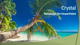  Presentation with palm oil seeds of tree - Cool new slide set with inviting lagoon on tropical fiji backdrop and a  colored foreground