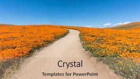  Presentation with wildflower field - Presentation theme enhanced with inviting path through poppy wildflower background and a coral colored foreground