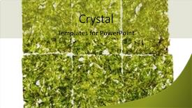  Presentation with seaweed - Audience pleasing PPT theme consisting of iodine - dried nori seaweed laminaria sheet backdrop and a gold colored foreground