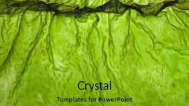  Presentation with seaweed - Cool new PPT layouts with iodine - seaweed kelp laminaria surface top backdrop and a gold colored foreground