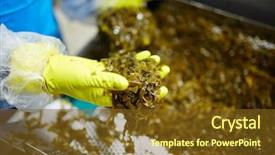  Presentation with processing - Beautiful presentation featuring iodine - worker of seafood processing factory backdrop and a tawny brown colored foreground