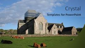  Presentation with cattle - Colorful presentation theme enhanced with  backdrop and a  colored foreground