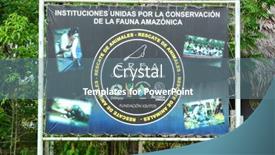  Presentation with rescue - 