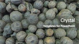  Presentation with persian the literature - Cool new slides with iranian culture - persian dried black limes backdrop and a gray colored foreground