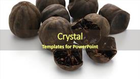  Presentation with persian - Beautiful PPT theme featuring iraq - dried persian black lime limu backdrop and a tawny brown colored foreground