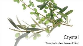  Presentation with shades of olive green - Beautiful presentation design featuring photo of numbers twenty-seven etched in stone backdrop and a light gray colored foreground