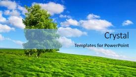  Presentation with lonely - Audience pleasing PPT layouts consisting of ireland landscapes - green nature scenery with lonely backdrop and a  colored foreground