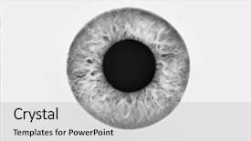  Presentation with iris - Cool new theme with iris - closeup of blue eyeball backdrop and a light gray colored foreground