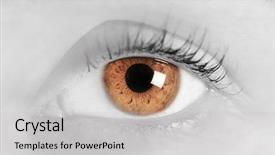  Presentation with eye - Colorful PPT theme enhanced with iris and pupil black backdrop and a light gray colored foreground