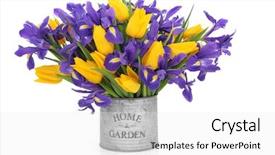  Presentation with iris flower - Cool new theme with iris and tulip flower arrangement backdrop and a white colored foreground