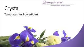  Presentation with text analytics stock exchange - Amazing slides having iris flower - beautiful flovers easy to remove backdrop and a white colored foreground