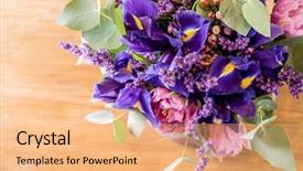  Presentation with iris flower - Beautiful PPT theme featuring iris flower - spring bouquet backdrop and a  colored foreground