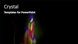  Presentation with iris flower - Cool new PPT theme with iris-flower-buds-close-up backdrop and a black colored foreground