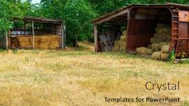  Presentation with dry forest - PPT layouts featuring iron-barn-for-storing-hay background and a yellow colored foreground