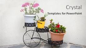  Presentation with geranium - Amazing presentation theme having iron-flower-stand backdrop and a white colored foreground