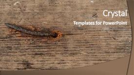  Presentation with old wood - Audience pleasing PPT layouts consisting of iron nails - old rusty nail backdrop and a  colored foreground