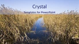  Presentation with plain blue clear sky - PPT layouts enhanced with irrigation canal - ditch with reed under clear background and a light blue colored foreground