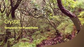  Presentation with forest - Amazing theme having irrigation canal - forest in madeira backdrop and a  colored foreground