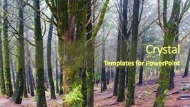  Presentation with forest - Cool new theme with irrigation canal - forest in madeira backdrop and a  colored foreground