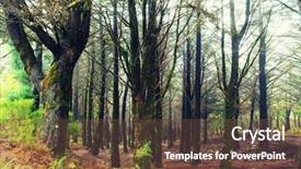  Presentation with snails and forest - Audience pleasing PPT theme consisting of irrigation canal - forest in madeira backdrop and a  colored foreground