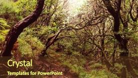  Presentation with forest - Beautiful PPT layouts featuring irrigation canal - forest in madeira backdrop and a tawny brown colored foreground