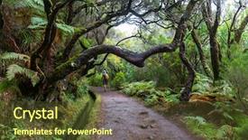 Presentation with hike forest - PPT theme with irrigation canal - hike in madeira background and a tawny brown colored foreground