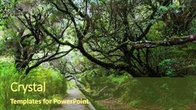  Presentation with hike forest - Cool new theme with irrigation canal - hike in madeira backdrop and a  colored foreground