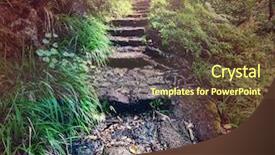  Presentation with hike forest - PPT theme enhanced with irrigation canal - hike in madeira background and a  colored foreground