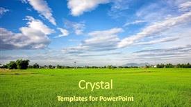  Presentation with canal irrigation - PPT theme enhanced with irrigation canal system in rice background and a tawny brown colored foreground