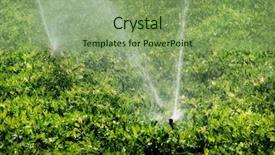 Presentation with irrigation - PPT theme consisting of irrigation des champs - image of vegetable fields background and a seafoam green colored foreground