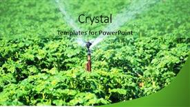  Presentation with irrigation - Slides with irrigation sprinkler in a potato background and a seafoam green colored foreground