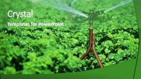  Presentation with water irrigation - PPT layouts featuring irrigation sprinklers working background and a seafoam green colored foreground