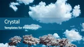  Presentation with infrared - Presentation consisting of irs - trees on the hill background and a ocean colored foreground