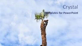  Presentation with now - 