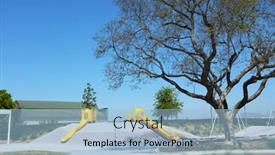  Presentation with gyms - 