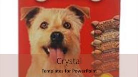  Presentation with flavor - Beautiful PPT layouts featuring irvine-california-may-22-2019 backdrop and a red colored foreground