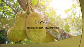  Presentation with jackfruit - Theme having is hanging on the tree background and a yellow colored foreground