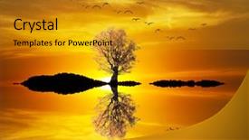  Presentation with child jumping to tree - Beautiful presentation design featuring is hiding behind the tree backdrop and a  colored foreground