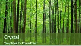  Presentation with path - Beautiful presentation theme featuring is in the green forest backdrop and a tawny brown colored foreground