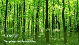  Presentation with mountains forests green forest - Slides enhanced with is in the green forest background and a forest green colored foreground
