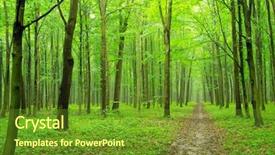  Presentation with mountains forests green forest - Colorful presentation theme enhanced with is in the green forest backdrop and a tawny brown colored foreground