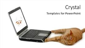  Presentation with bowl - PPT theme featuring is looking at a laptop background and a white colored foreground