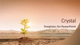  Presentation with moon - Slides with is there life on moon background and a lemonade colored foreground