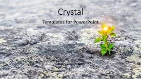  Presentation with moon - PPT theme enhanced with is there life on moon background and a light gray colored foreground