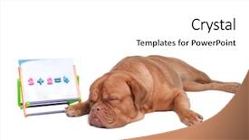  Presentation with math lesson - Slide deck consisting of school - dog is tired background and a white colored foreground
