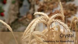  Presentation with 3 family member - Slide set with is used around the world background and a coral colored foreground