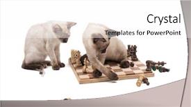  Presentation with chess pieces - Slide deck enhanced with is watching on white background background and a white colored foreground