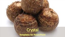  Presentation with ripe golden potato on white - Beautiful theme featuring ishikawa - satoimo small japanese taro potatoes backdrop and a  colored foreground