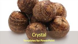  Presentation with ripe golden potato on white - Theme having ishikawa - satoimo small japanese taro potatoes background and a  colored foreground